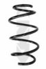 SPIDAN 86831 Coil Spring
